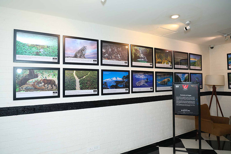 Pocket of Hope by UNSECO - 13th March to 12th April 2026