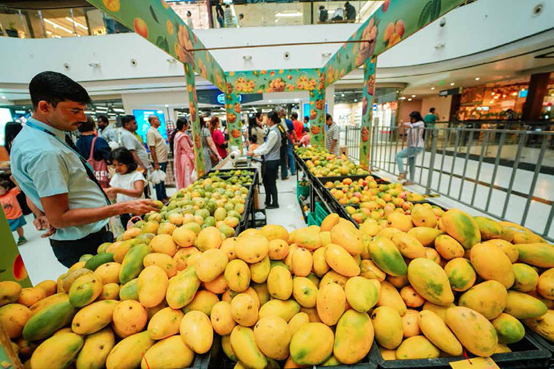 Summer Fruit Fiesta x Lulu, Zaal & Salt - 22nd to 24th May 2026