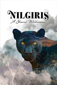 Nilgiris: A Shared Wilderness (UA, English)